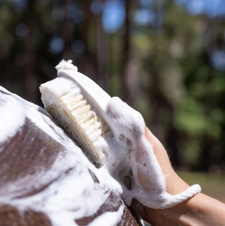 Hairy Pony Wash Bay Brush