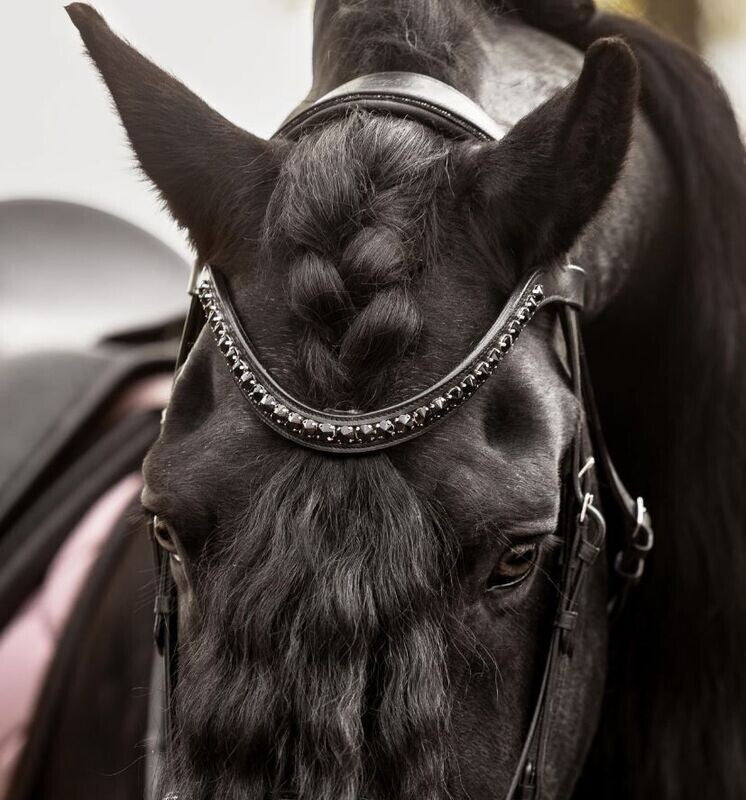 Lumiere Arcadia Luxury Cavesson Bridle