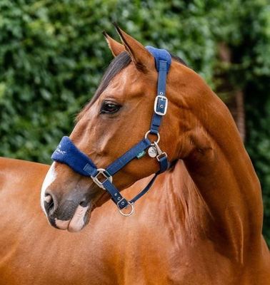 Horseware Signature Grooming Halter