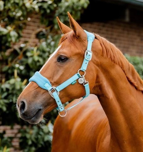 Horseware Signature Grooming Halter