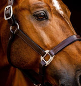 Horseware Signature Leather Halter