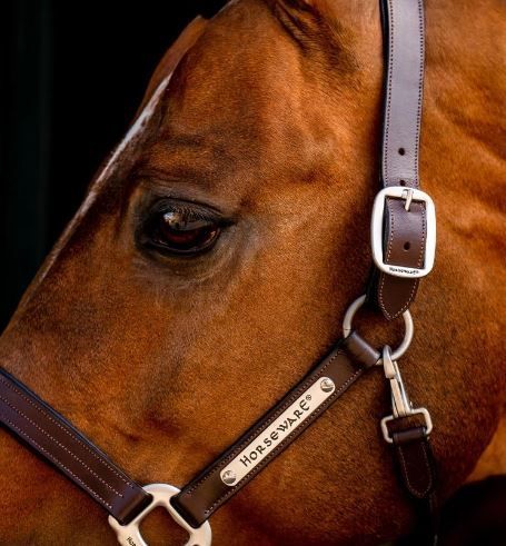 Horseware Signature Leather Halter