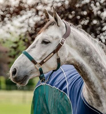 Horseware Signature Braided Halter