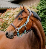 Horseware Signature Competition Halter