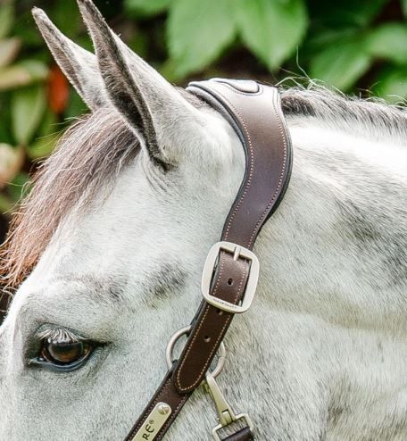 Horseware Signature Braided Halter