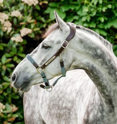 Horseware Signature Braided Halter