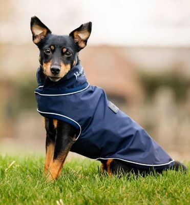 Horseware Signature Dog Rain Coat