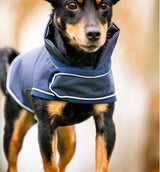 Horseware Signature Dog Rain Coat