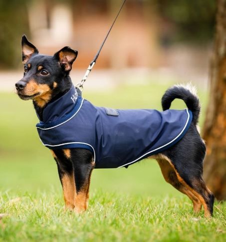 Horseware Signature Dog Rain Coat