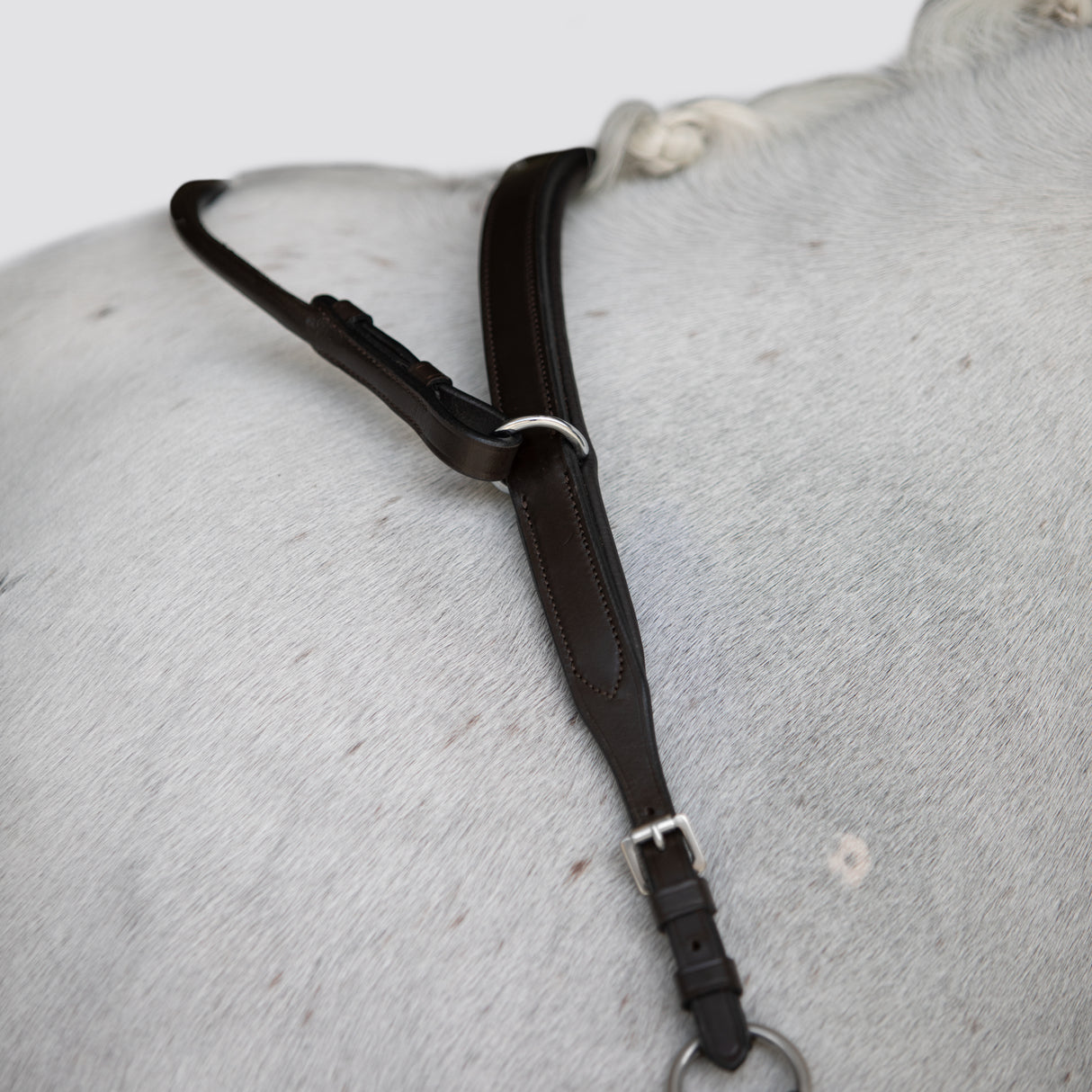 Lumiere AW26 Parker Bridge Breastplate