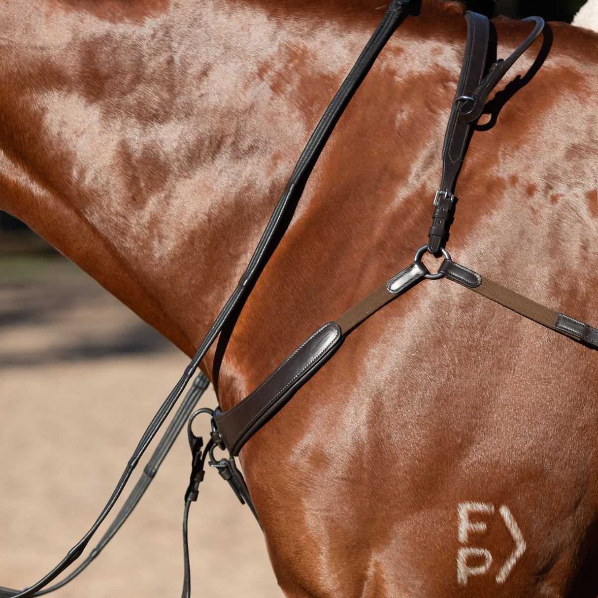 Lumiere AW26 Parker Bridge Breastplate