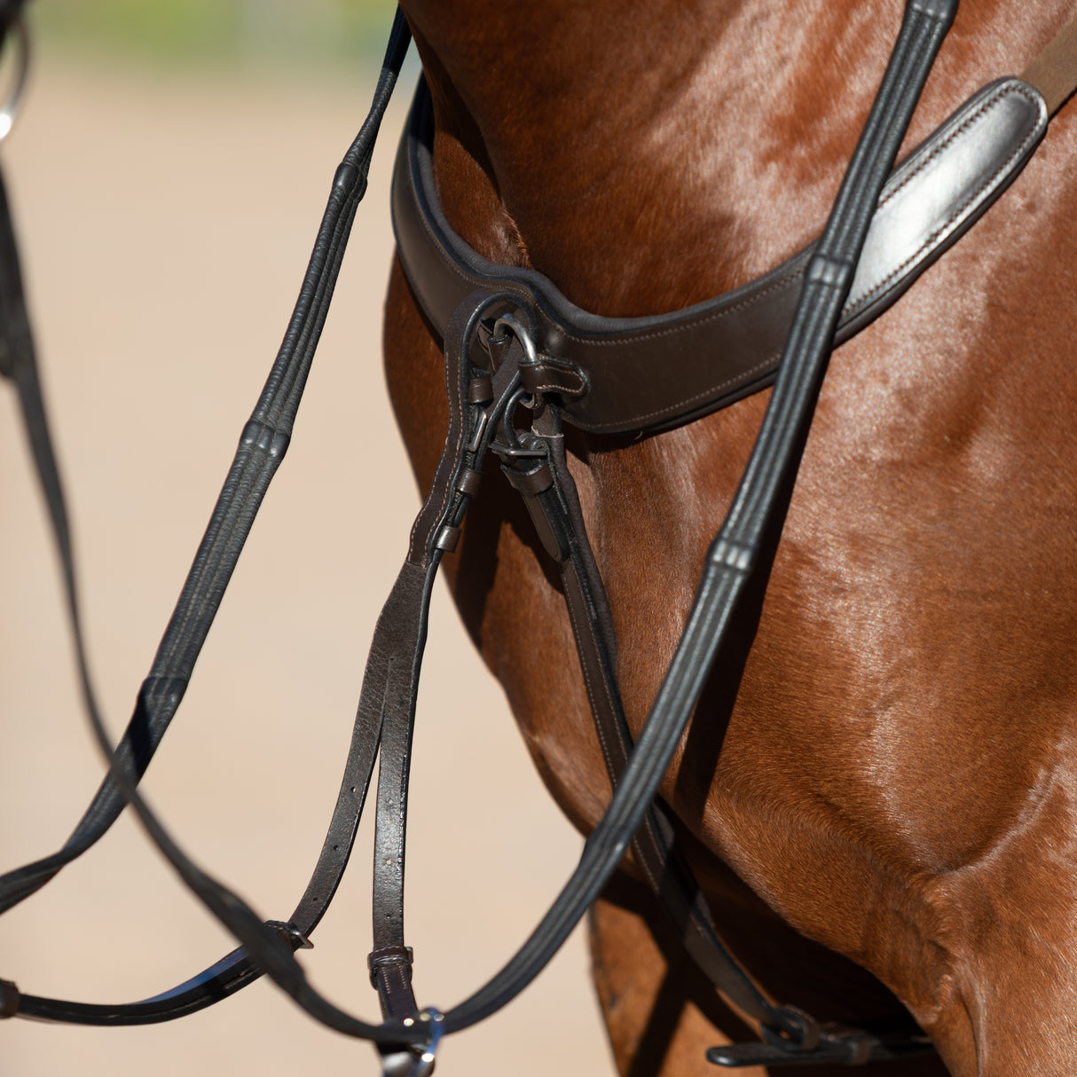 Lumiere AW26 Parker Bridge Breastplate