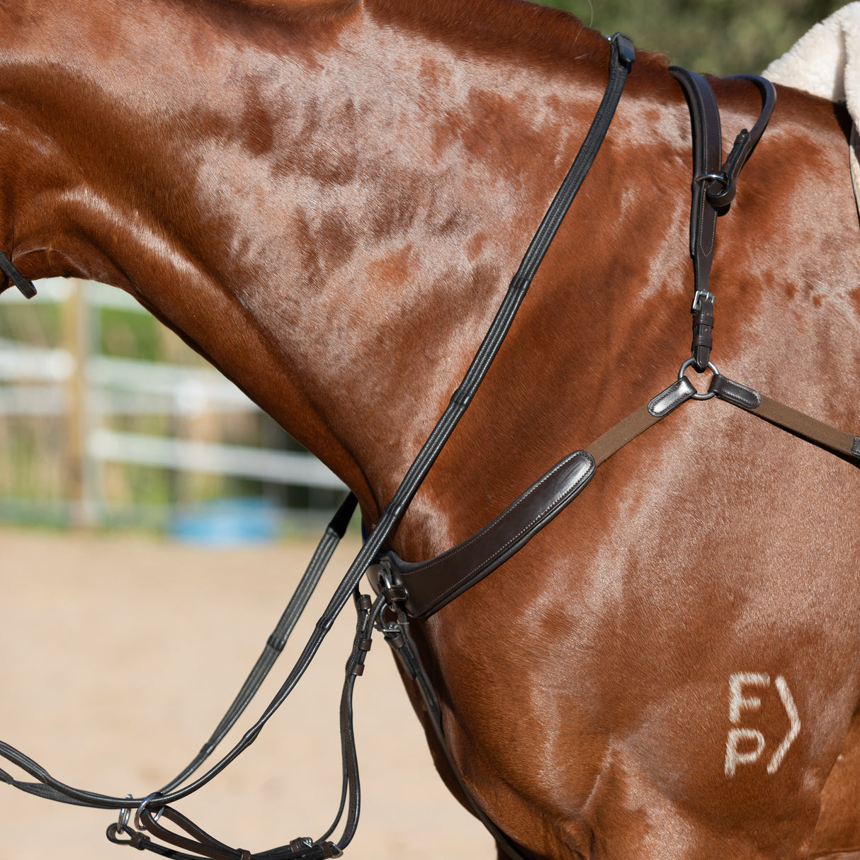 Lumiere AW26 Parker Bridge Breastplate