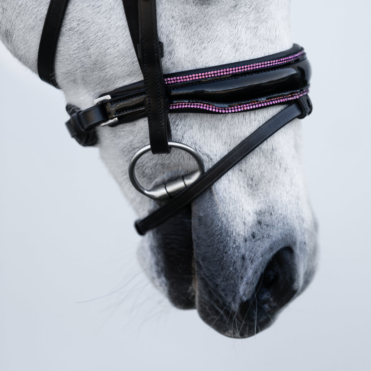 Lumi Pony Fairyfloss Bridle