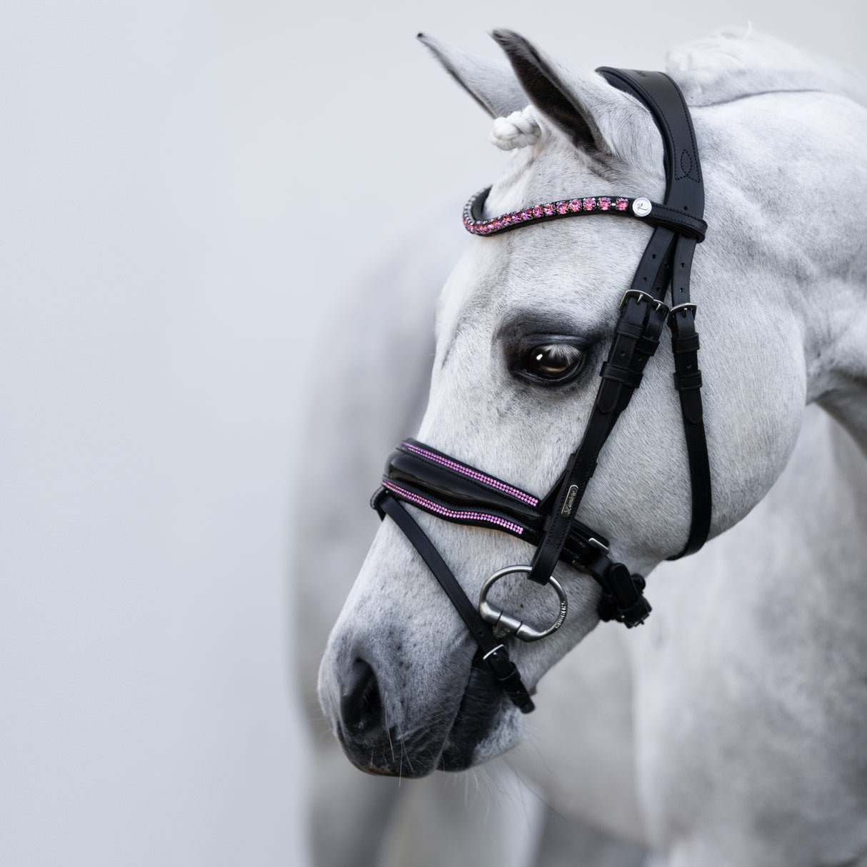 Lumi Pony Fairyfloss Bridle