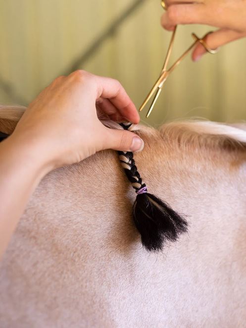 Hairy Pony Fake It Mane & Tail Enhancement Pack of 5