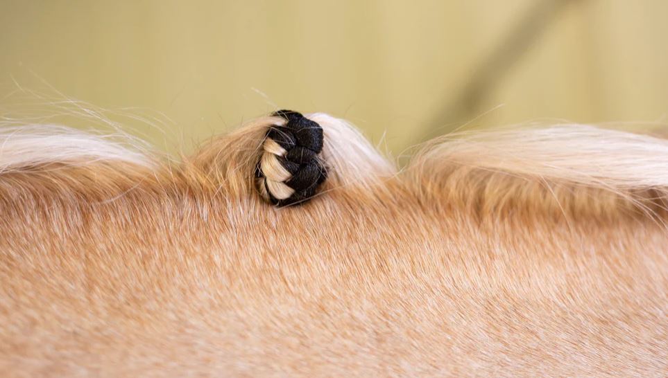 Hairy Pony Fake It Mane & Tail Enhancement Pack of 5