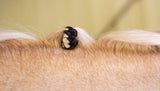 Hairy Pony Fake It Mane & Tail Enhancement Pack of 5