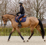 Ariat Evolve Saddlepad