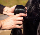 Hairy Pony Terrific Tails Kit