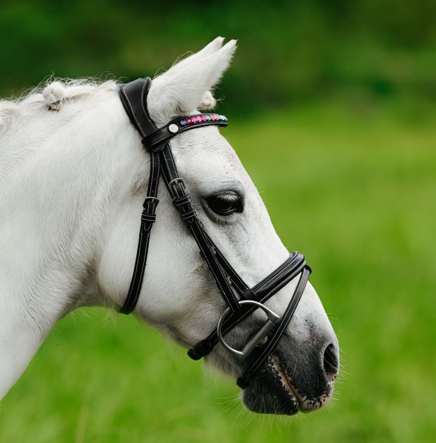 Lumi Pony Rainbow Bridle