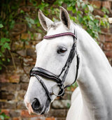 Horseware Diamante Flash Bridle