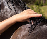 Hairy Pony Hair Repair Kakadu Plum 250ml