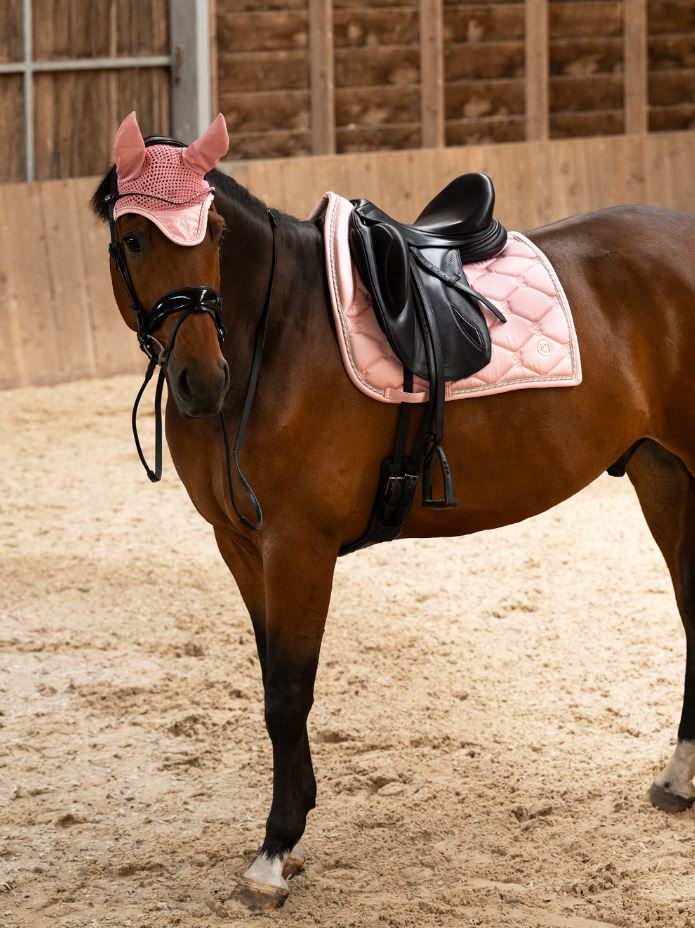 PS of Sweden SS26 Signature Dressage Pad