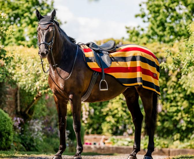 Horseware AW25 Newmarket Exercise Sheet