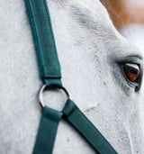 Horseware Dynasty Green Headcollar & Lead Rope