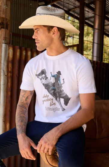 Wrangler SS27 Mens Michael TShirt