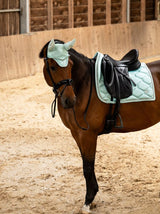 PS of Sweden SS26 Signature Dressage Pad