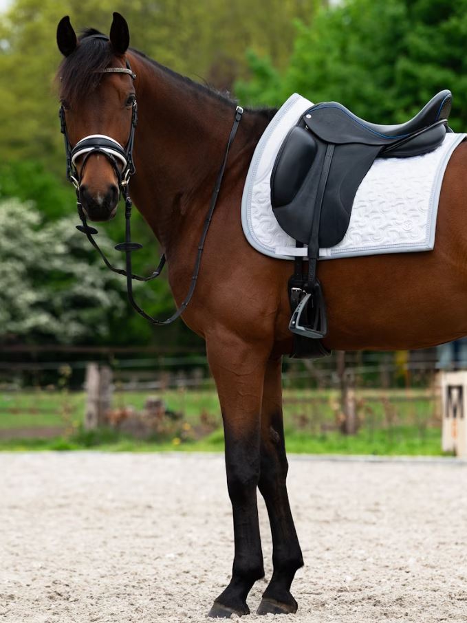 PS of Sweden SS25 Crystal Dressage Pad