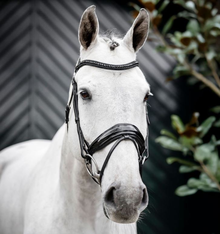 Horseware Diamante Flash Bridle