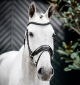 Horseware Diamante Flash Bridle
