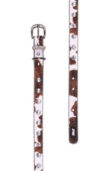 Pure Western SS27 Randy Dog Collar