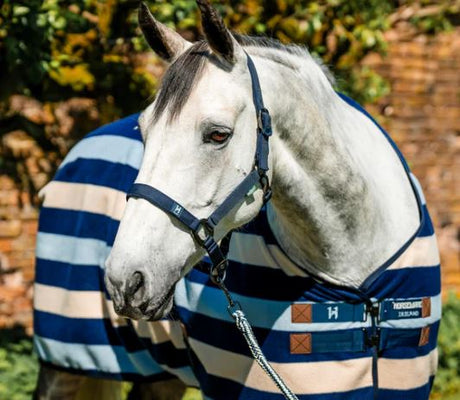 Horseware AW25 Newmarket Halter & Lead Set