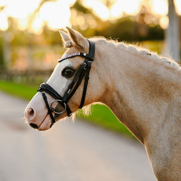 Lumi Pony Unicorn Bridle