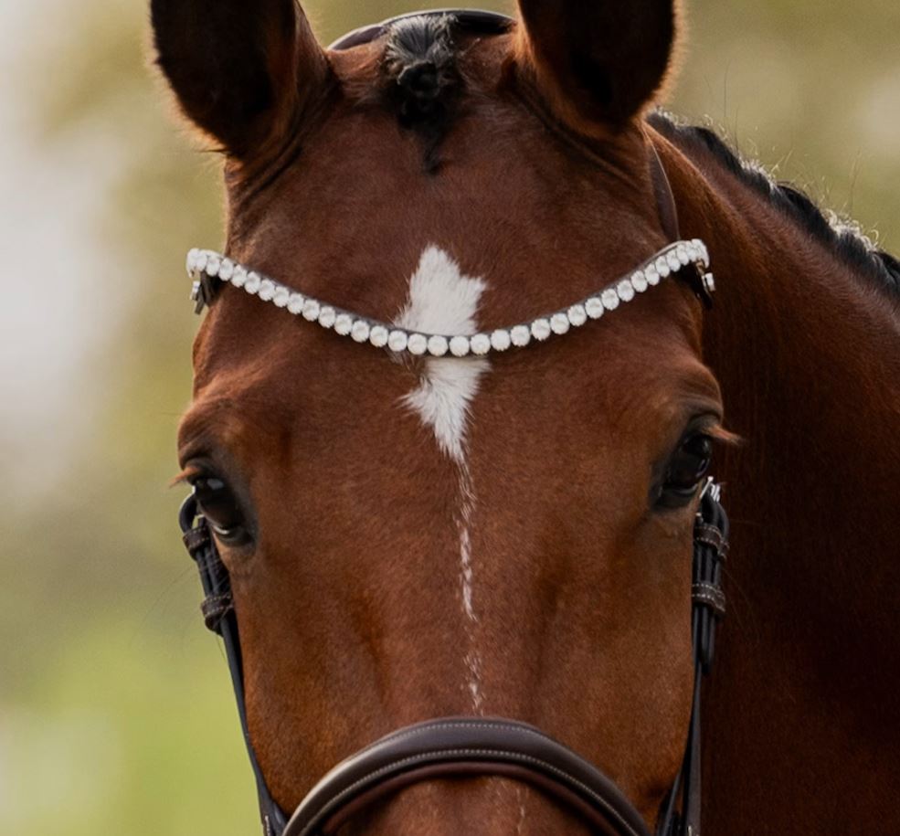 PS of Sweden SS26 Slim Crystal White Browband Full Black