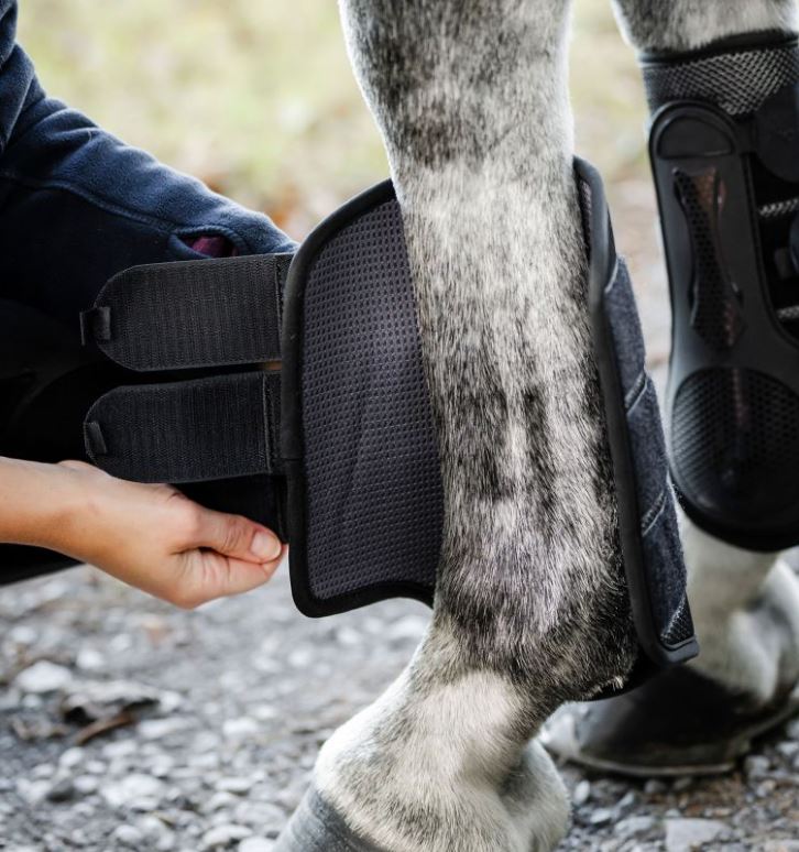 Horseware SS26 Pro Bamboo Brushing Boots