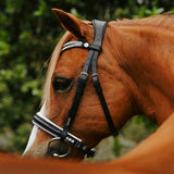 Lumi Pony Princess Bridle