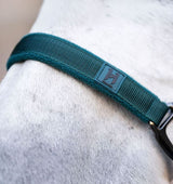 Horseware Dynasty Green Headcollar & Lead Rope