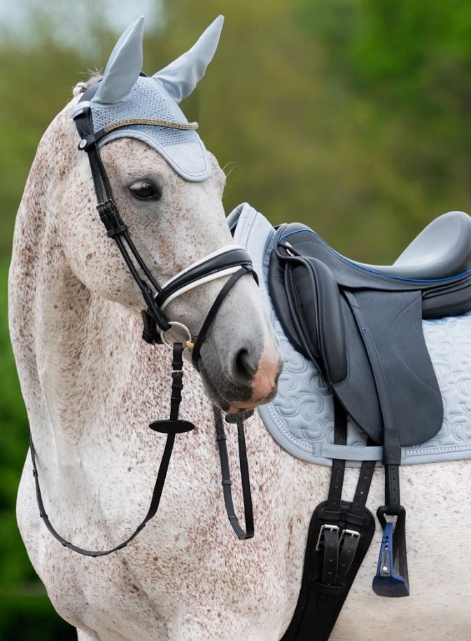 PS of Sweden SS25 Crystal Fly Hood