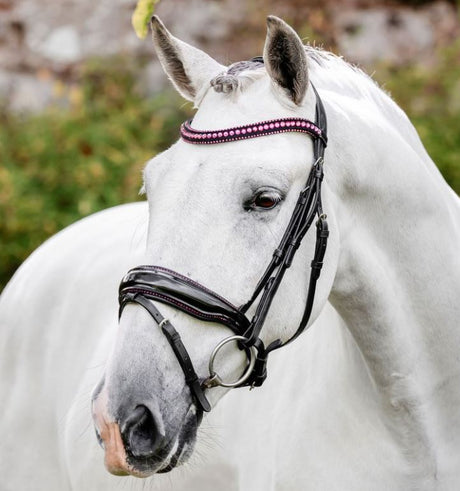 Horseware Diamante Flash Bridle