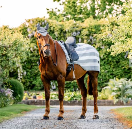 Horseware AW25 Newmarket Exercise Sheet