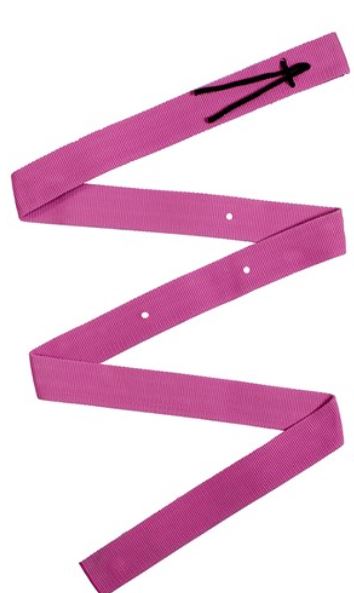 Fort Worth Nylon Girth Strap