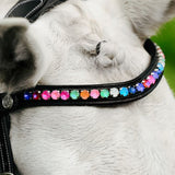 Lumi Pony Rainbow Bridle