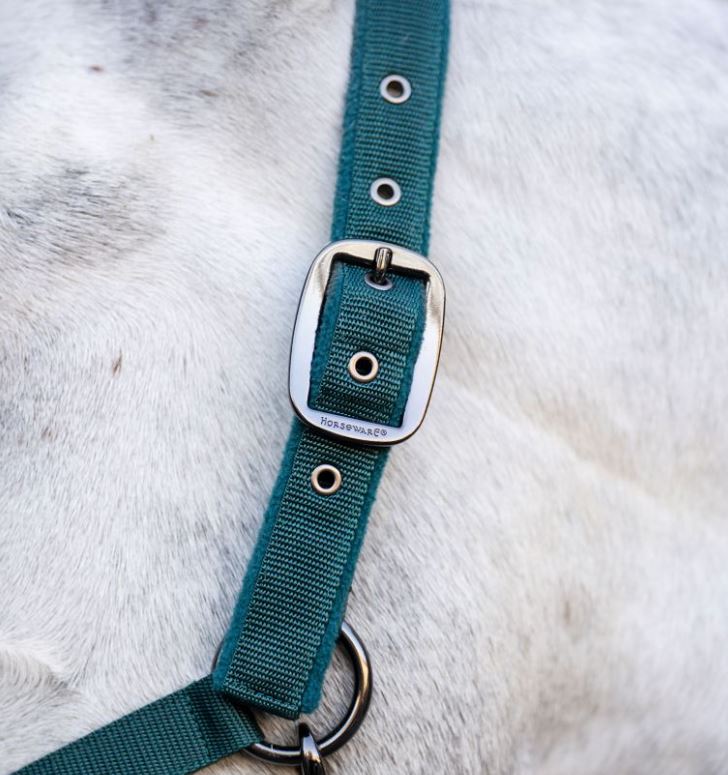 Horseware Dynasty Green Headcollar & Lead Rope