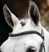Horseware Diamante Flash Bridle