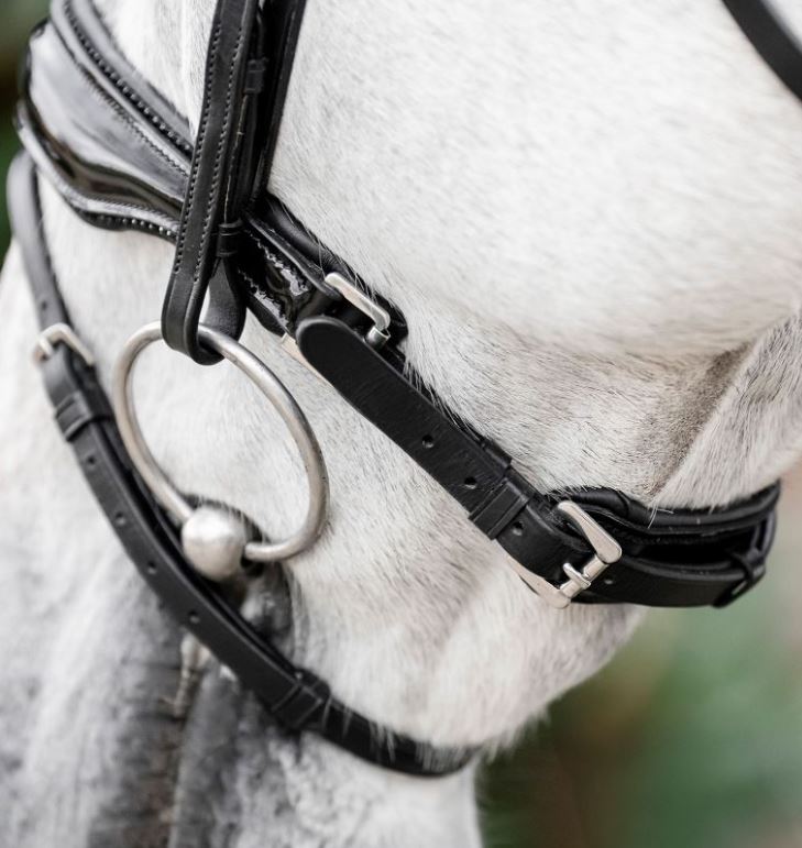 Horseware Diamante Flash Bridle